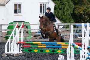 Class 6 - Fences not above 2'9